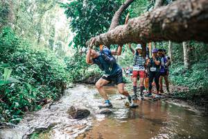 BIB: 
                            <button type="button" onclick="openModal(25375050)" class="btn btn-primary btn-sm float-right btn-popup" data-toggle="modal" data-target=".modal-high-quality">
                        <i class="fas fa-shopping-cart"></i> Add to Cart
                    </button>
                                            <button type="button" onclick="isThisMe(25375050, true)" class="btn btn-success btn-sm float-right btn-popup btn-isme hidden" data-toggle="tooltip" data-placement="bottom" title="นี่คือรูปของคุณใช่ไหม คลิกที่นี่เพื่อเอาเข้าอัลบั้ม">
                        <i class="fas fa-plus"></i> Add to album
                    </button>
                    <button type="button" onclick="isThisMe(25375050, false)" class="btn btn-warning btn-sm float-right btn-popup btn-isnotme hidden">
                        <i class="fas fa-ban"></i> Remove from album
                    </button>